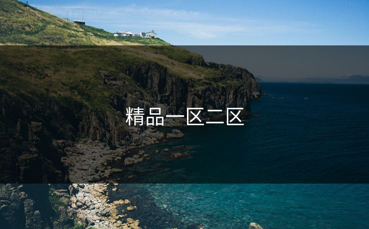 精品一区二区 精品一区二区