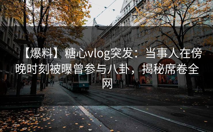 【爆料】糖心vlog突发：当事人在傍晚时刻被曝曾参与八卦，揭秘席卷全网