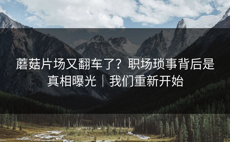 蘑菇片场又翻车了?职场琐事背后是真相曝光|我们重新开始 蘑菇片场又翻车了?职场琐事背后是真相曝光|我们重新开始